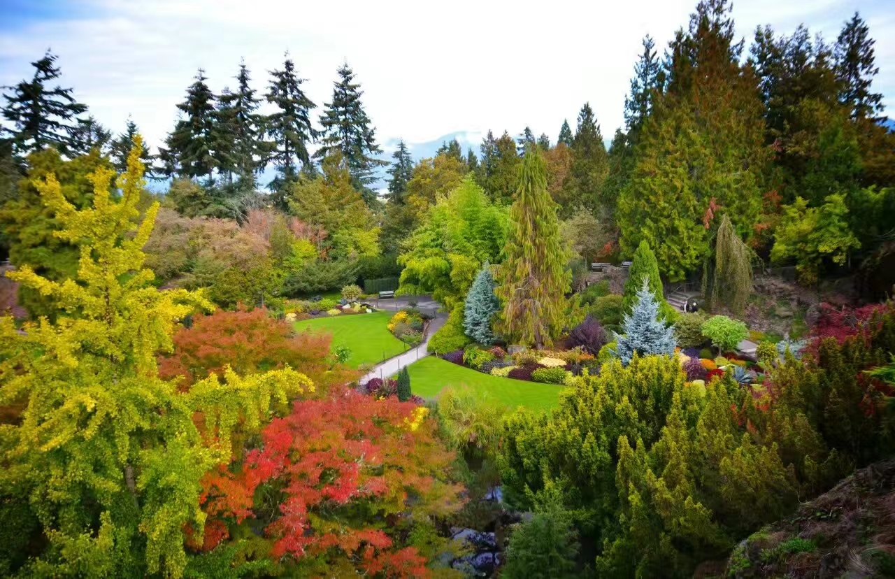 Through the Lens: Immersing in Canada’s Breathtaking Natural&nbsp;Splendor